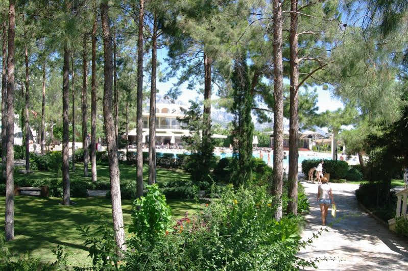 Club Zigana Hotel Бельдиби Экстерьер фото